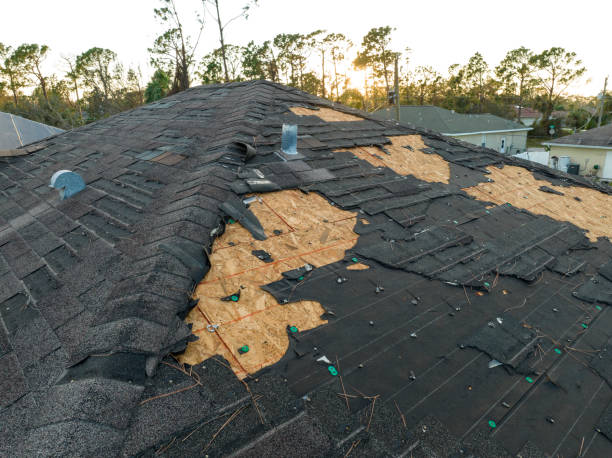 Best Roof Moss and Algae Removal  in Fairfield, IL
