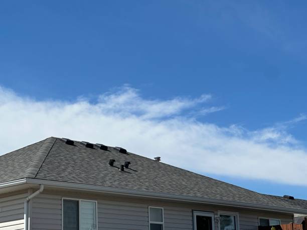 Best Skylight Installation and Repair  in Fairfield, IL